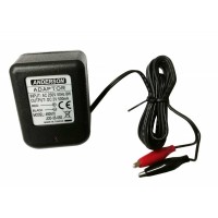 CARICABATTERIE PER BATTERIE AL PIOMBO 2V - DC 2V 500mA - AC 230V 50Hz 8W