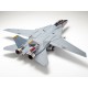 TAMIYA - AEREO F-14D TOMCAT 1:48